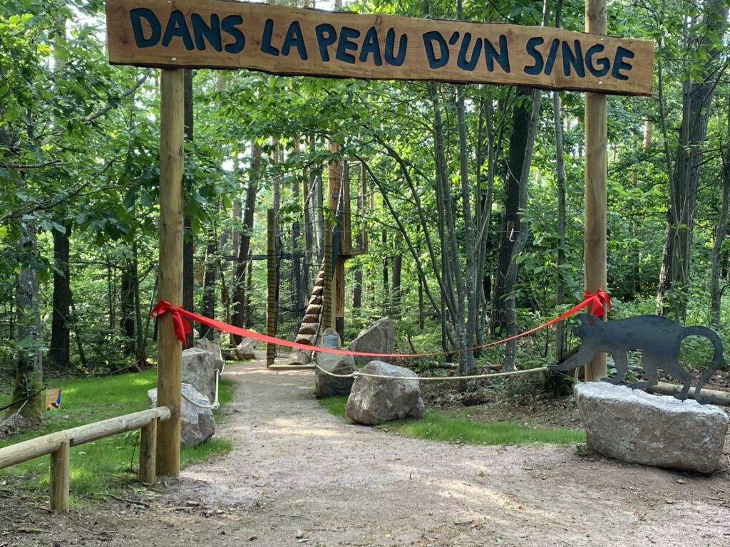 la montagne des singes